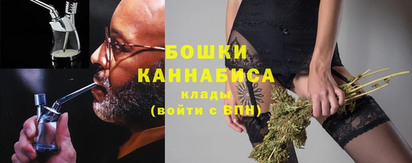 PSILOCYBIN Беломорск