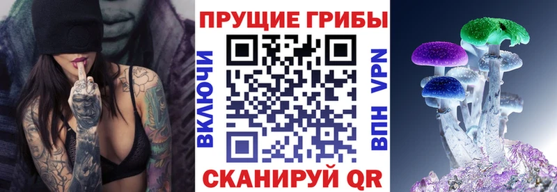МЕГА как войти  сколько стоит  Кушва  Галлюциногенные грибы GOLDEN TEACHER 
